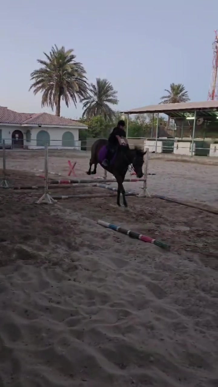 @Al Bosta Equestrian