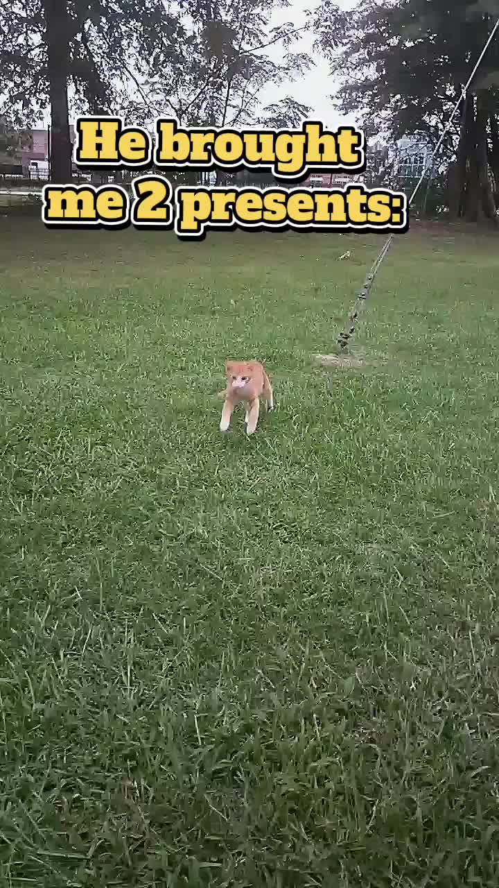 @𝕎𝕙𝕚𝕥𝕎𝕚𝕔𝕜𝕖𝕕