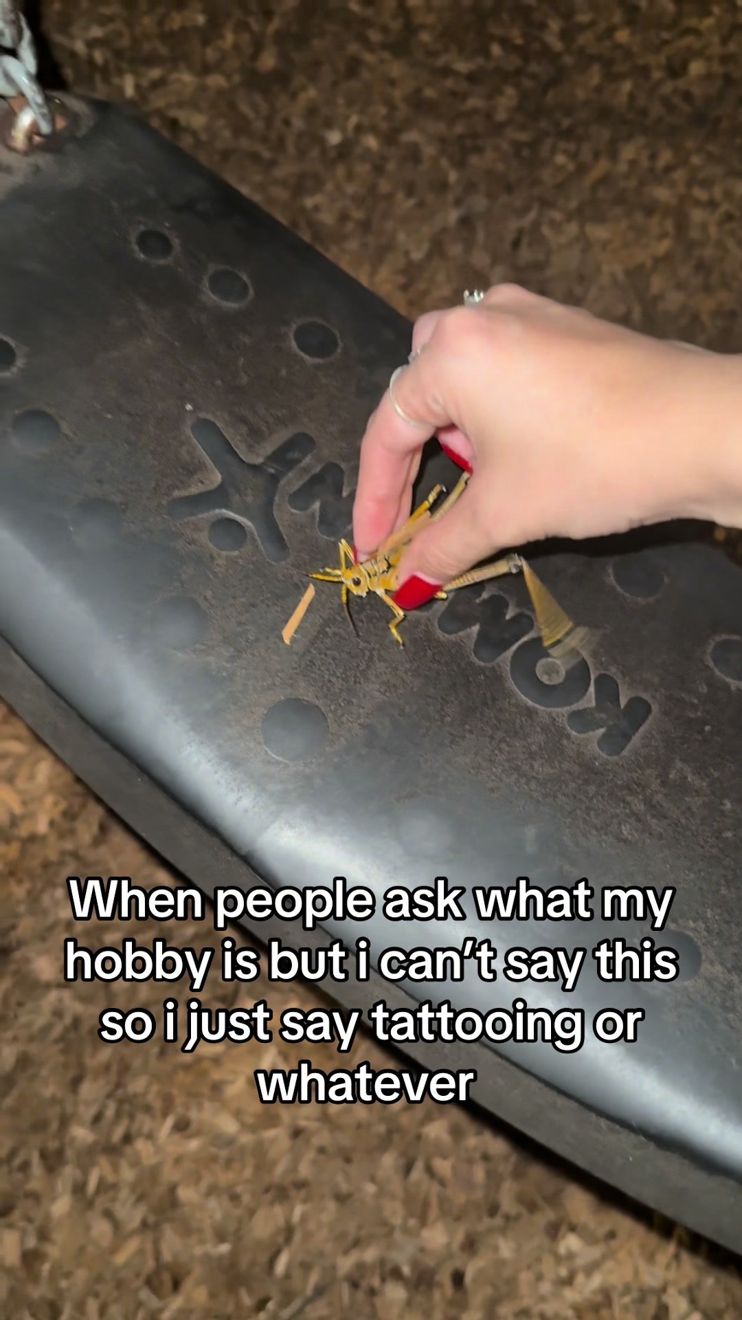 @𝓔𝓶𝓮𝓵𝔂𝔂  🐞