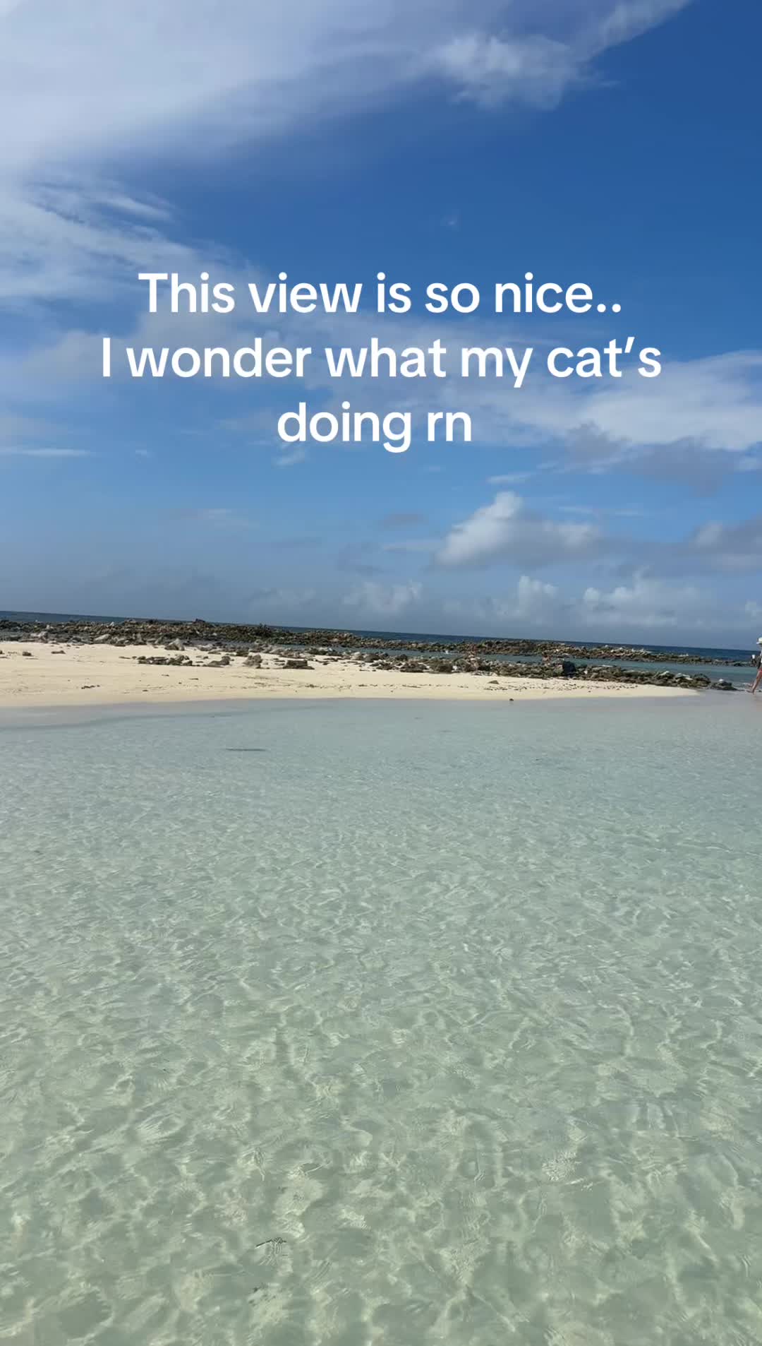 @LyndZ