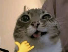 @audss