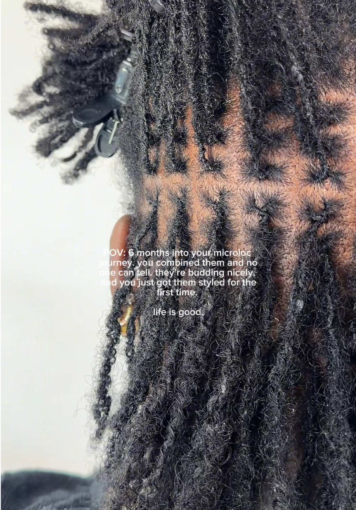 @hello, braid.