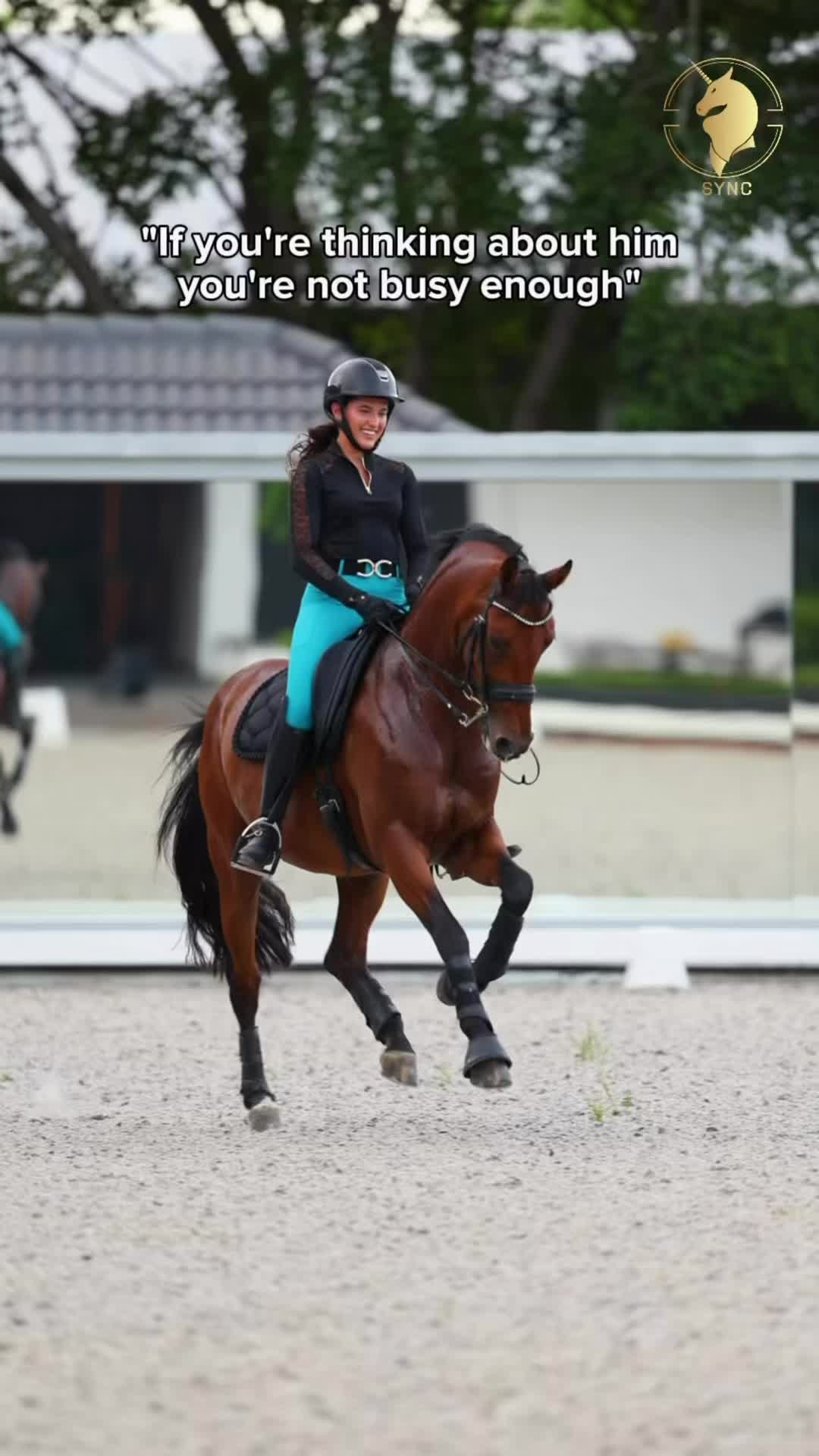 @Sync Equestrian
