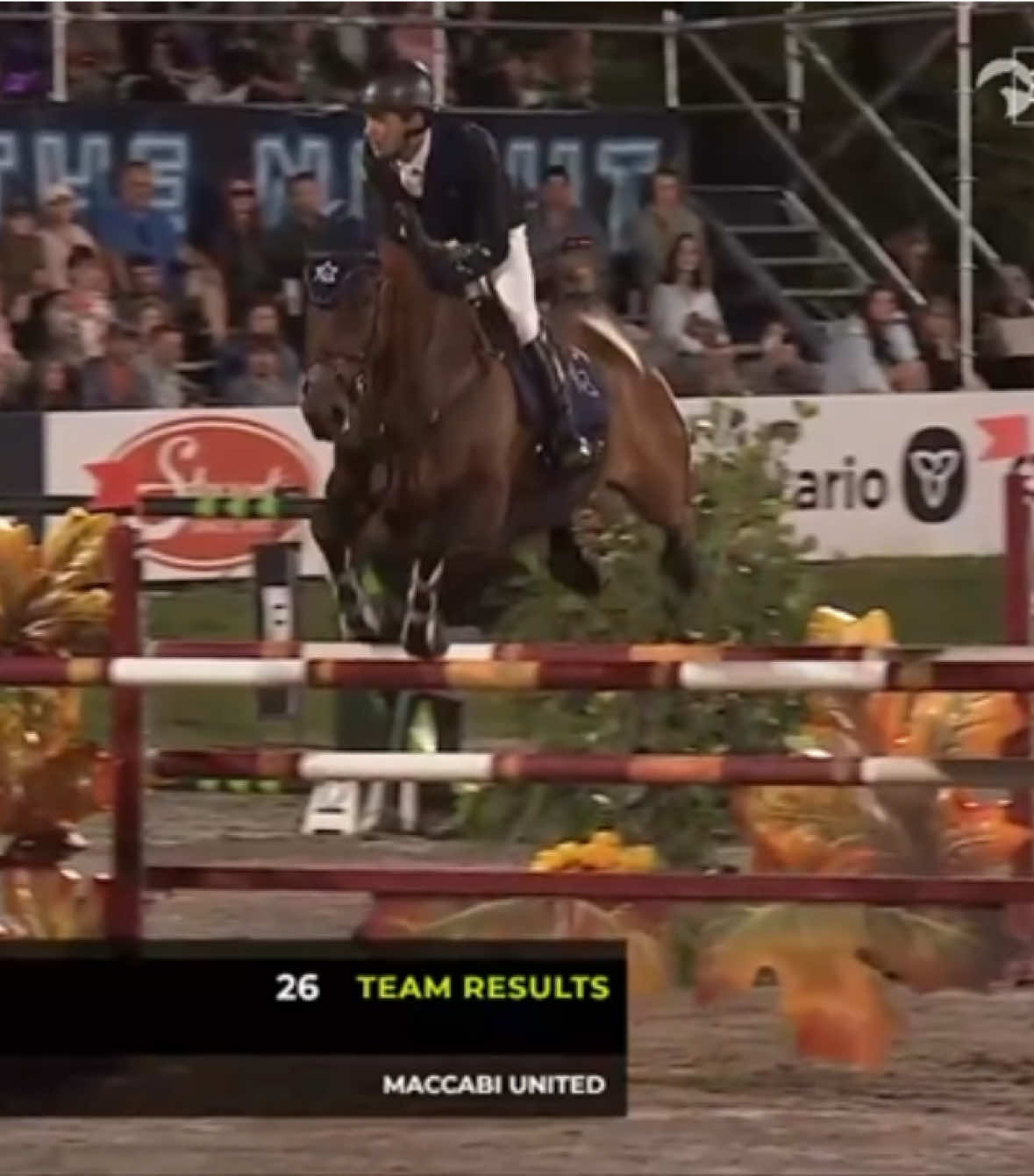 @Major League Show Jumping