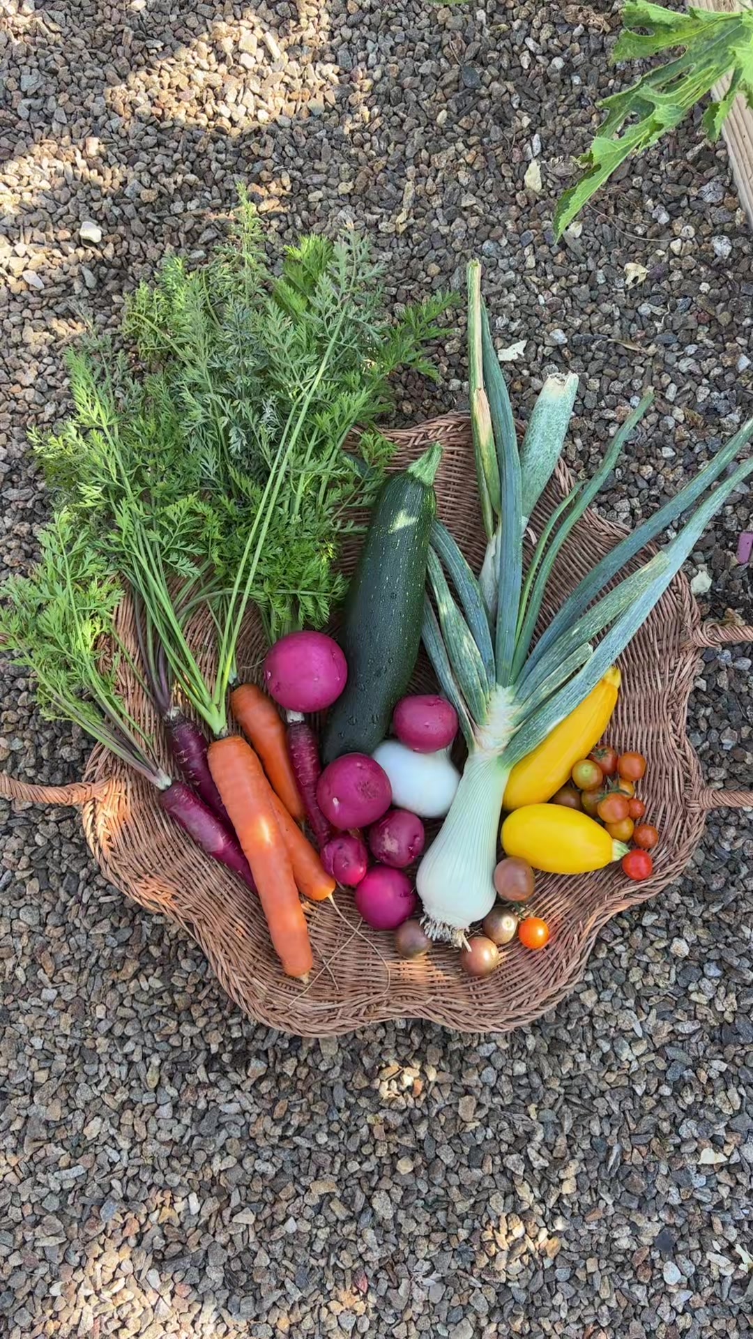 @earthboundgardening