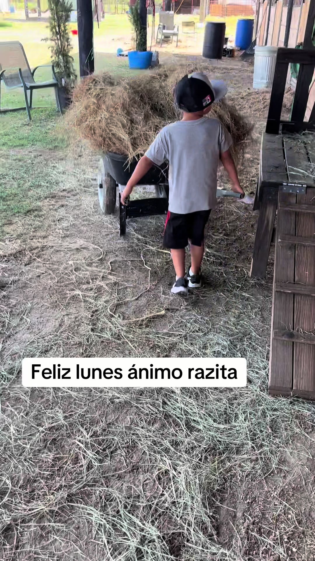 @Ranchoelnaturalito