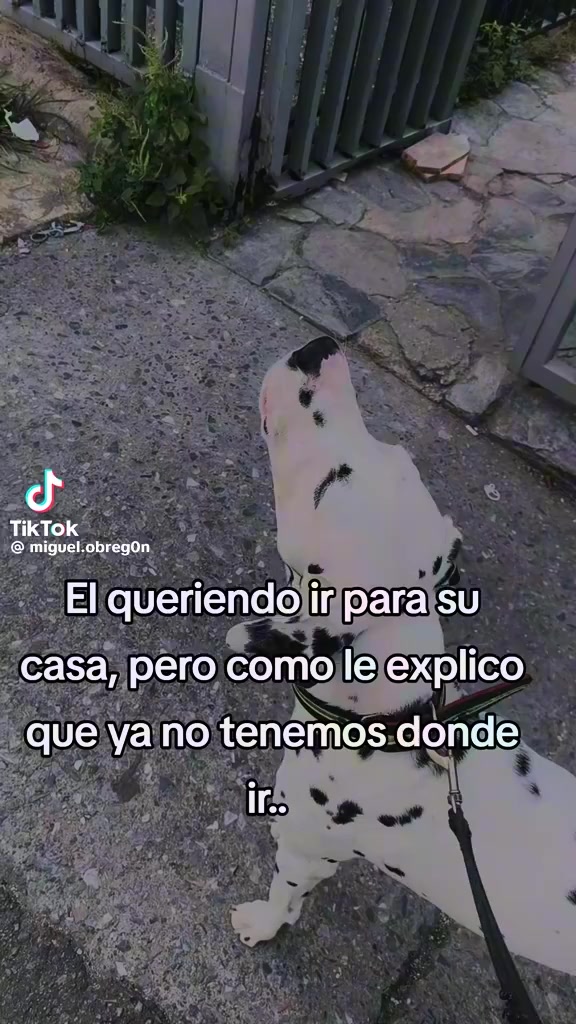 @🖤🖤🖤🖤🖤🖤🖤 🖤🖤