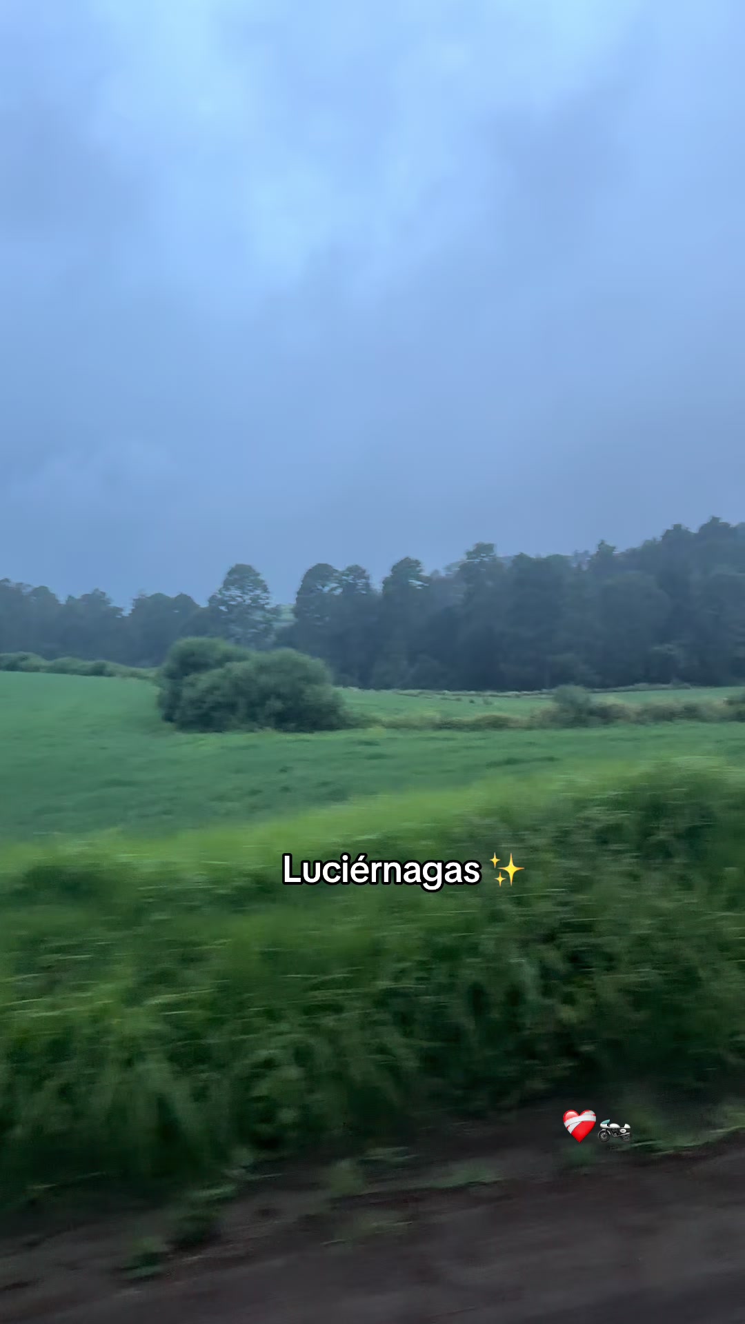 @Vanessa Alejandra
