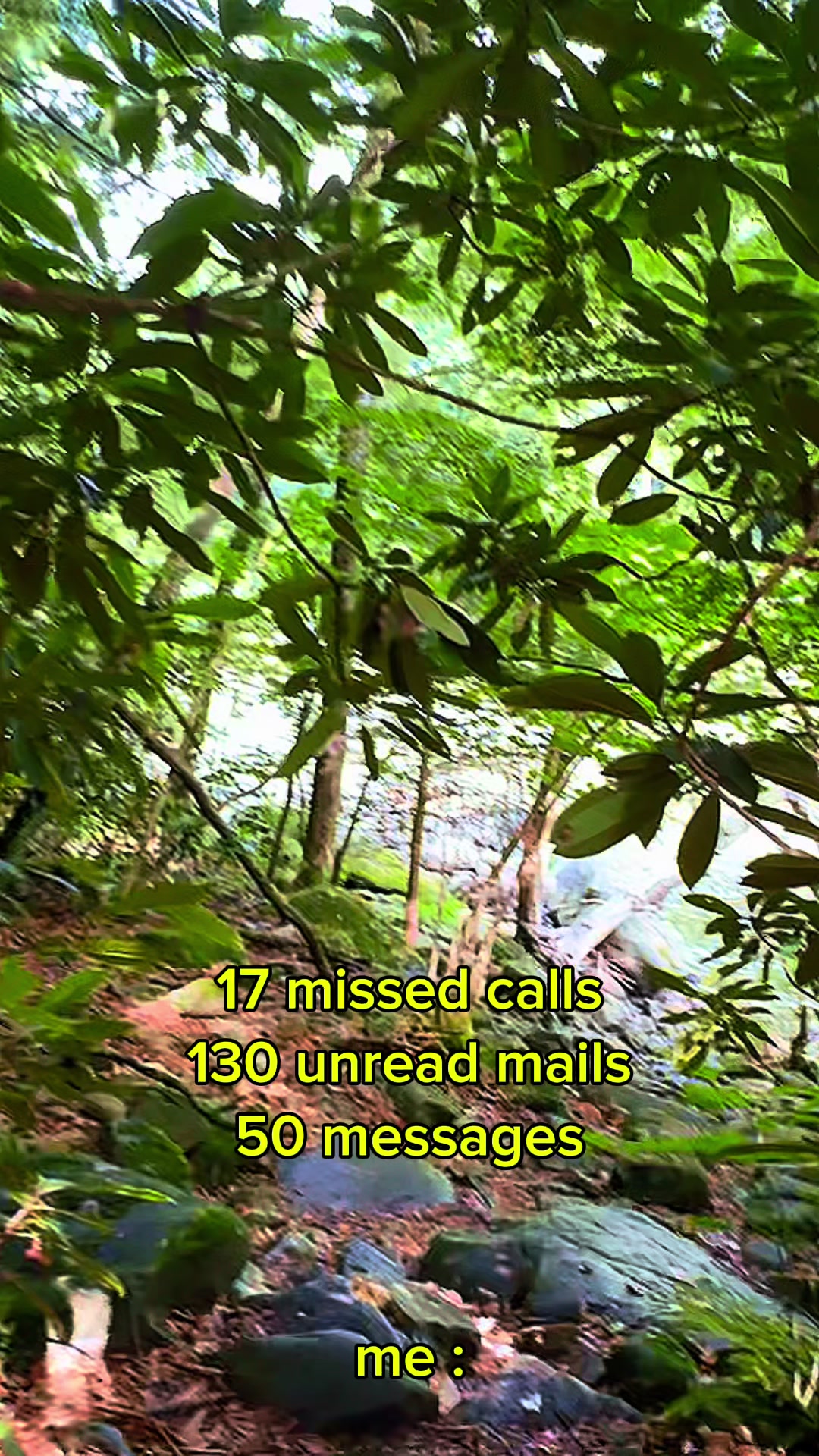 @thehikingpeach