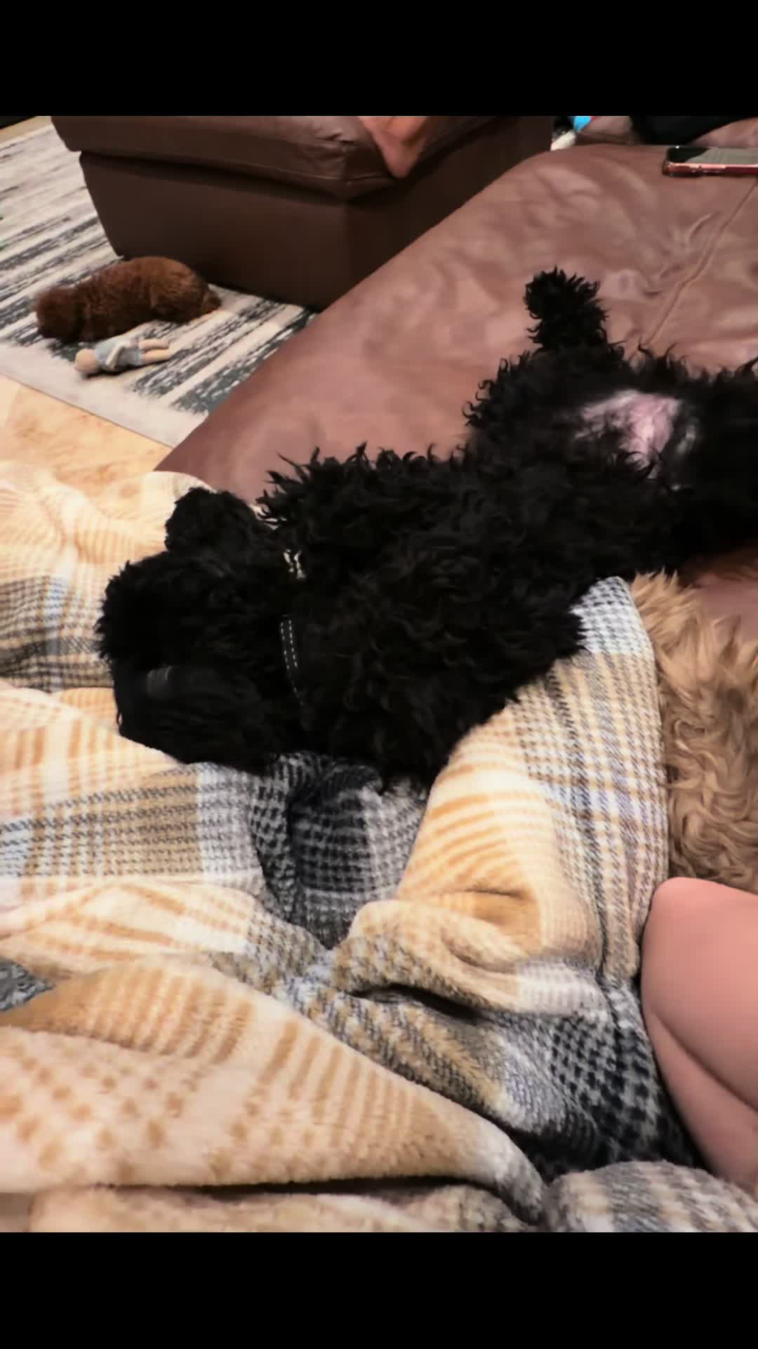 @cozypouch