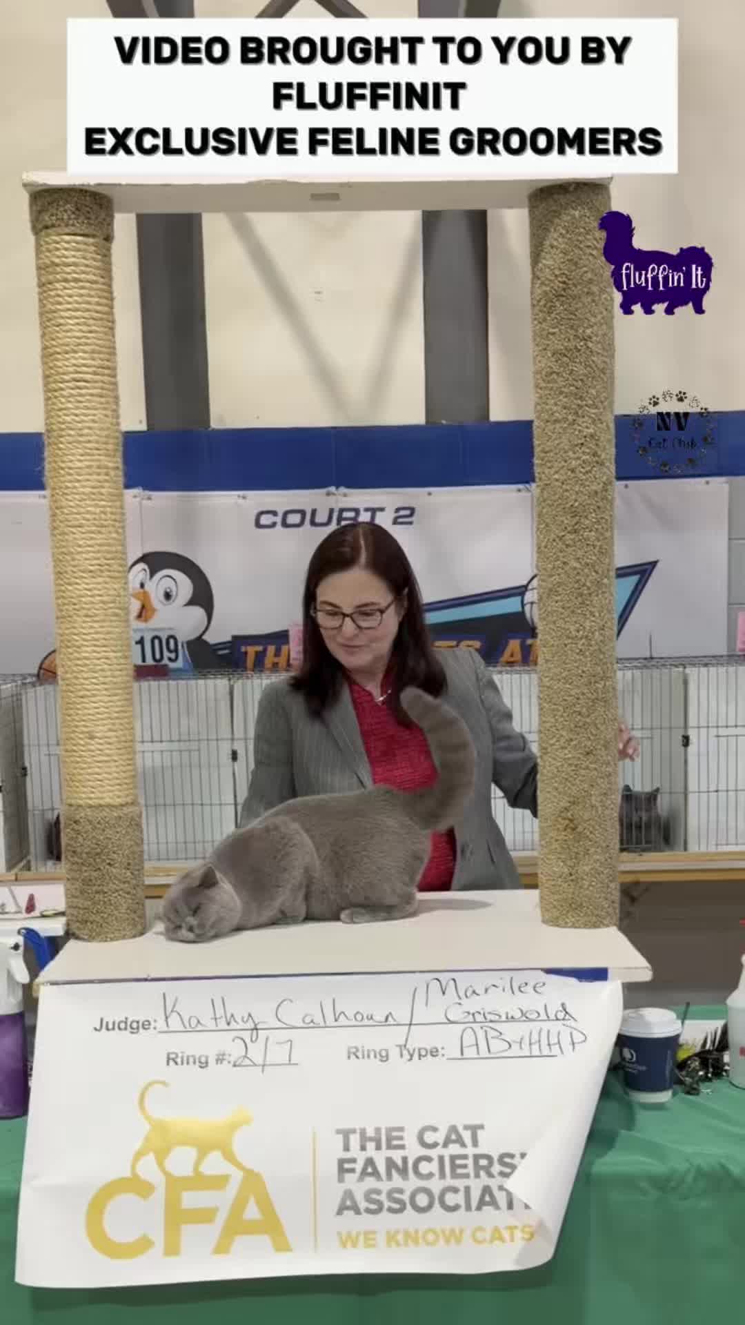 @NewVisionCatClub