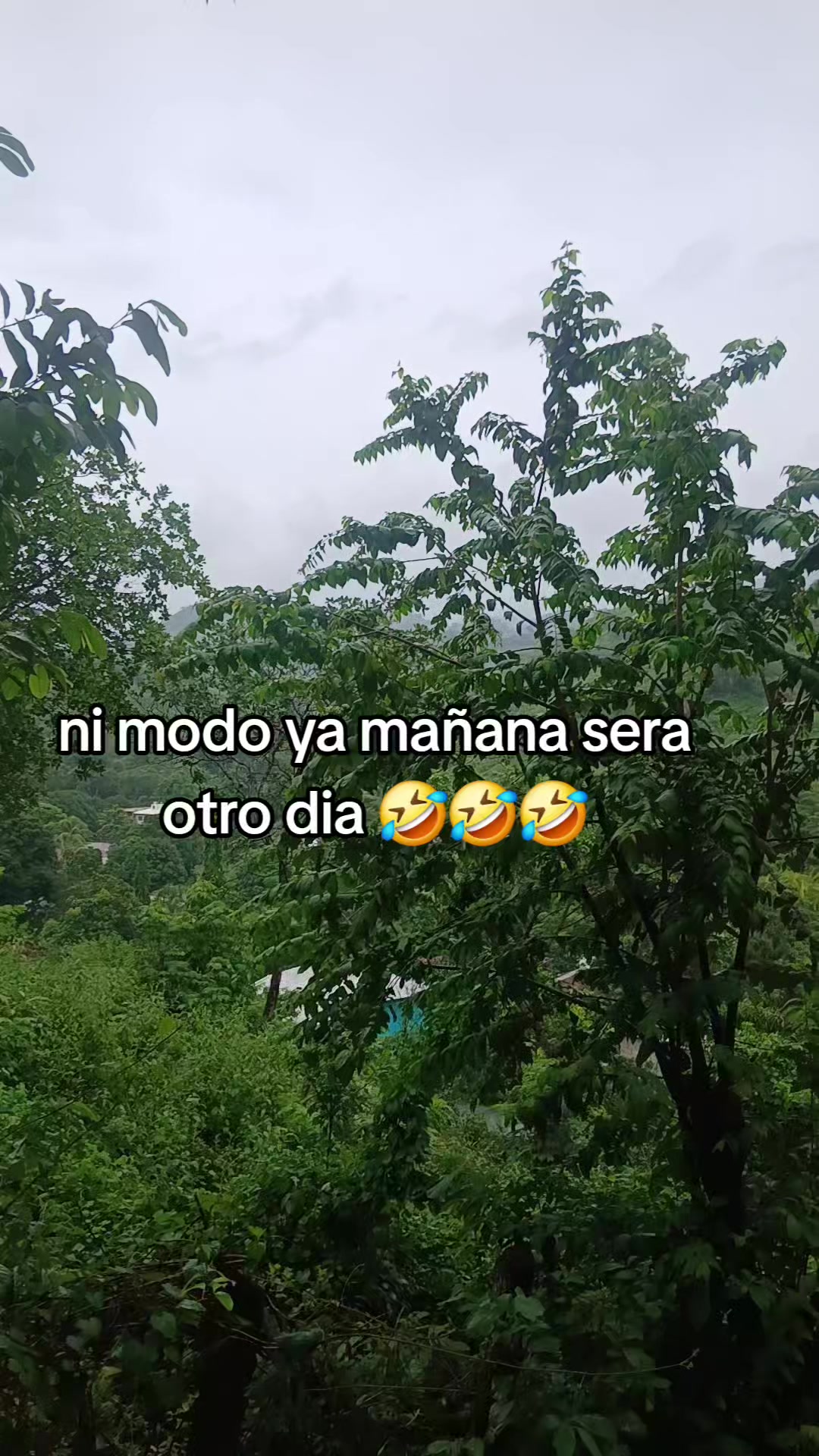 @Flor de Mar&iacute;a✨️