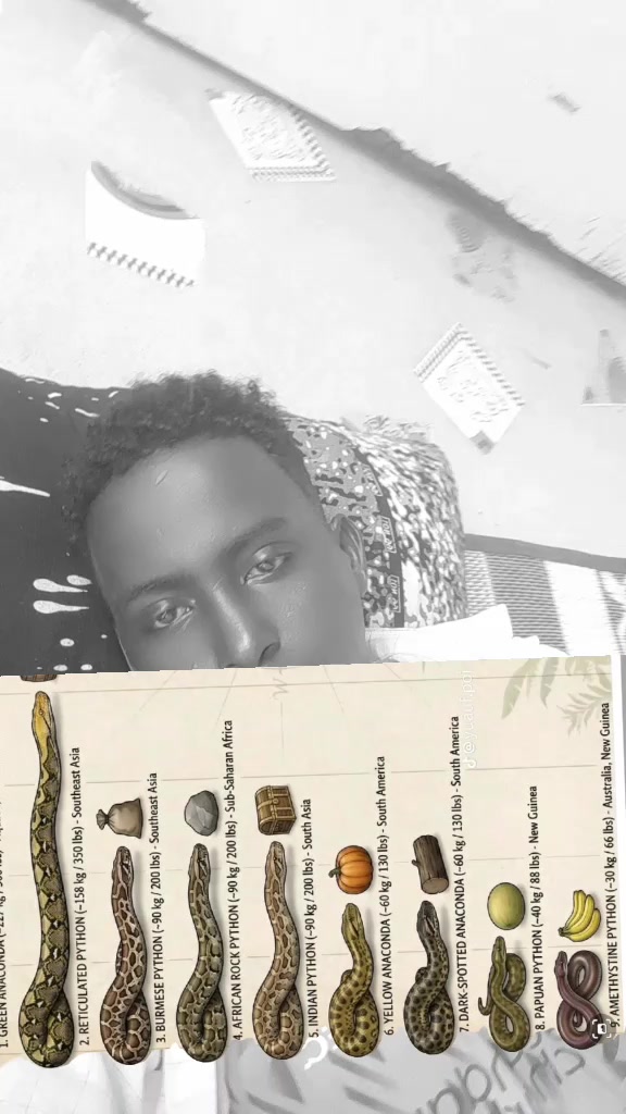 @xarakeye muuse