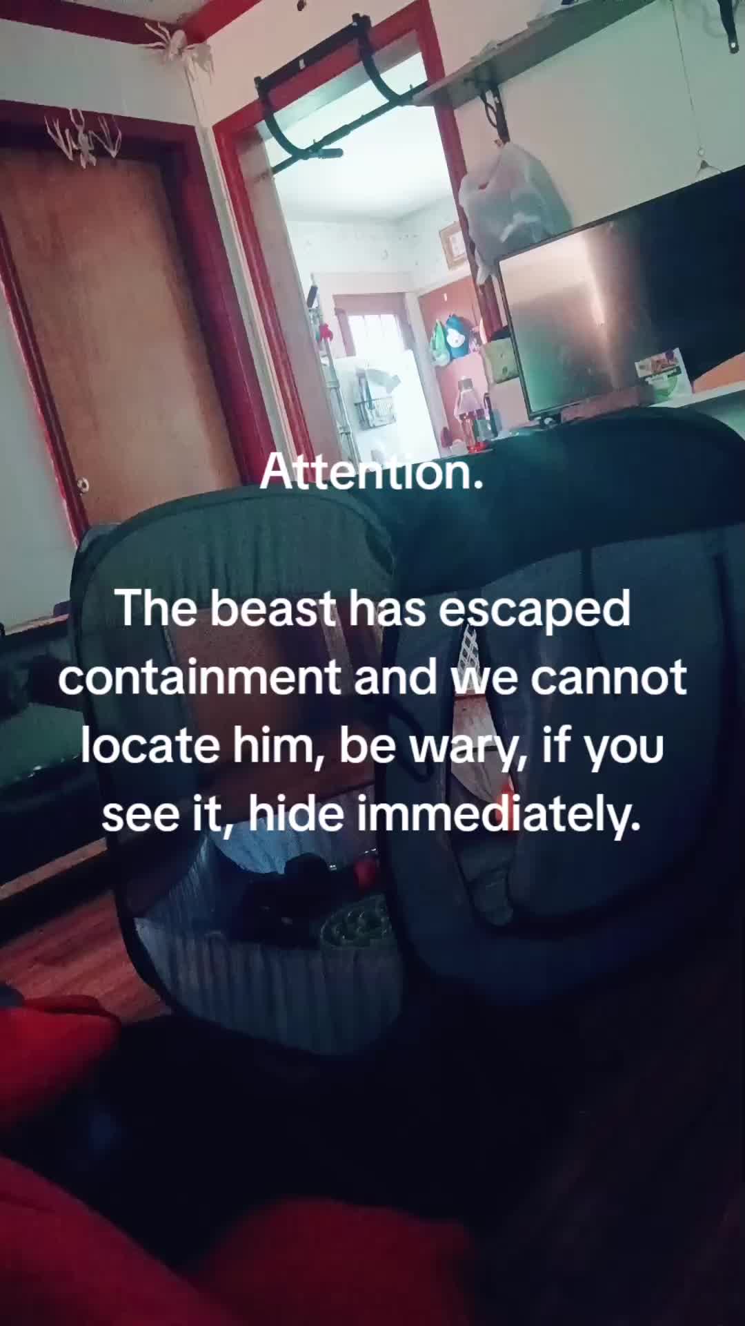 @Ankylosaurus (Gordo)