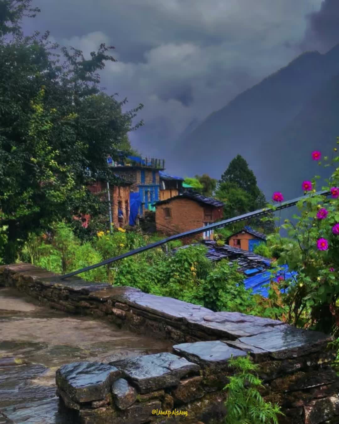 @थिँयाल 🌿