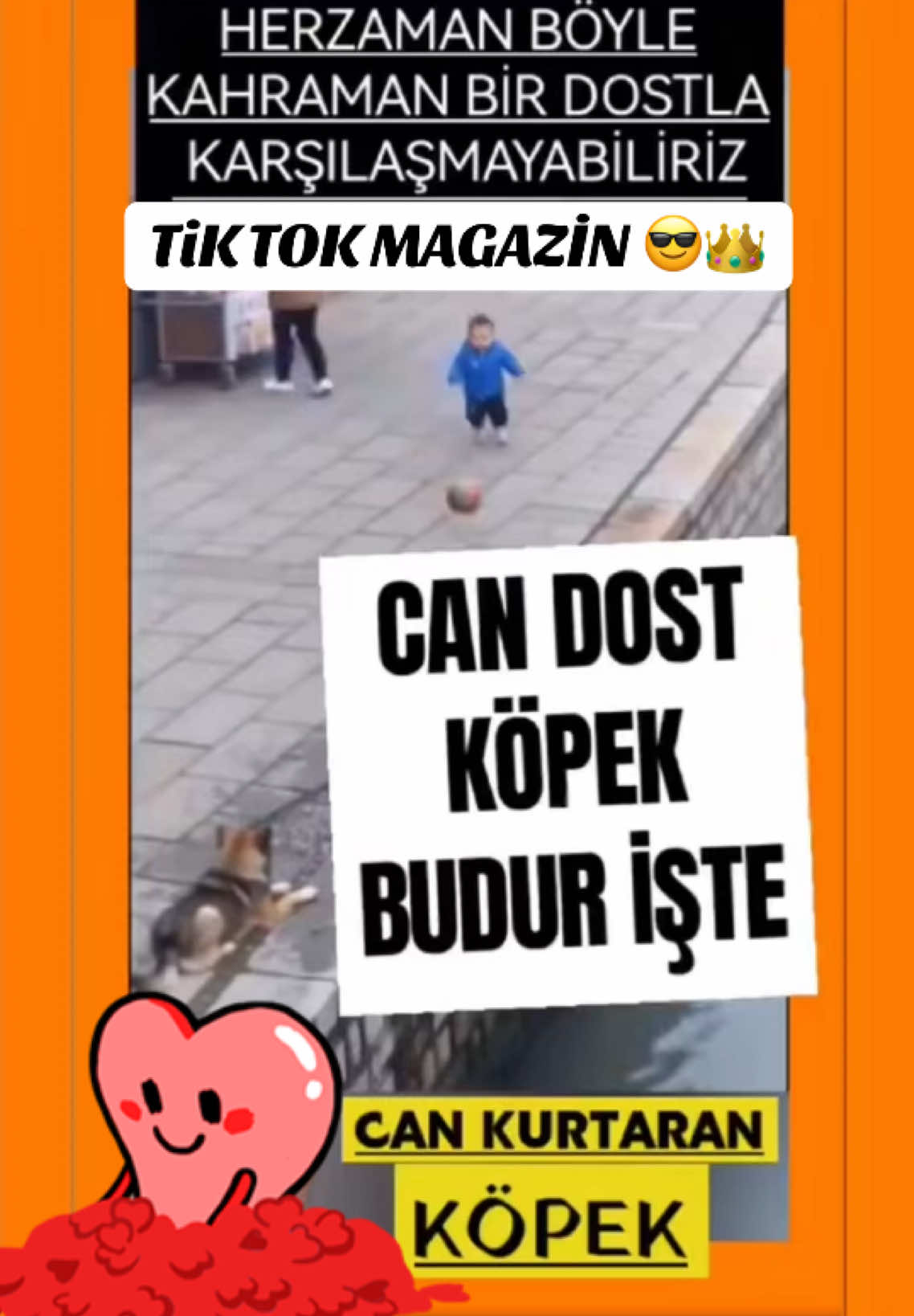 @tik.tok.magazin.