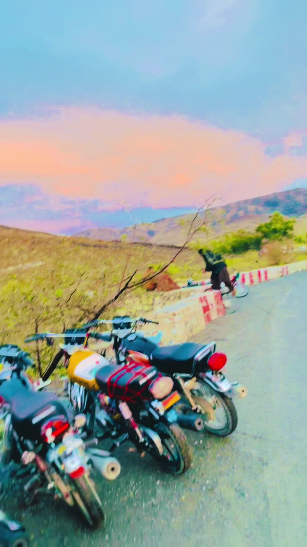 @باغی جاجا 303