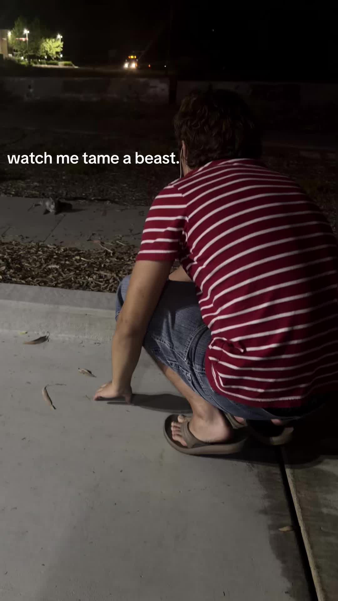 @lonrelyt