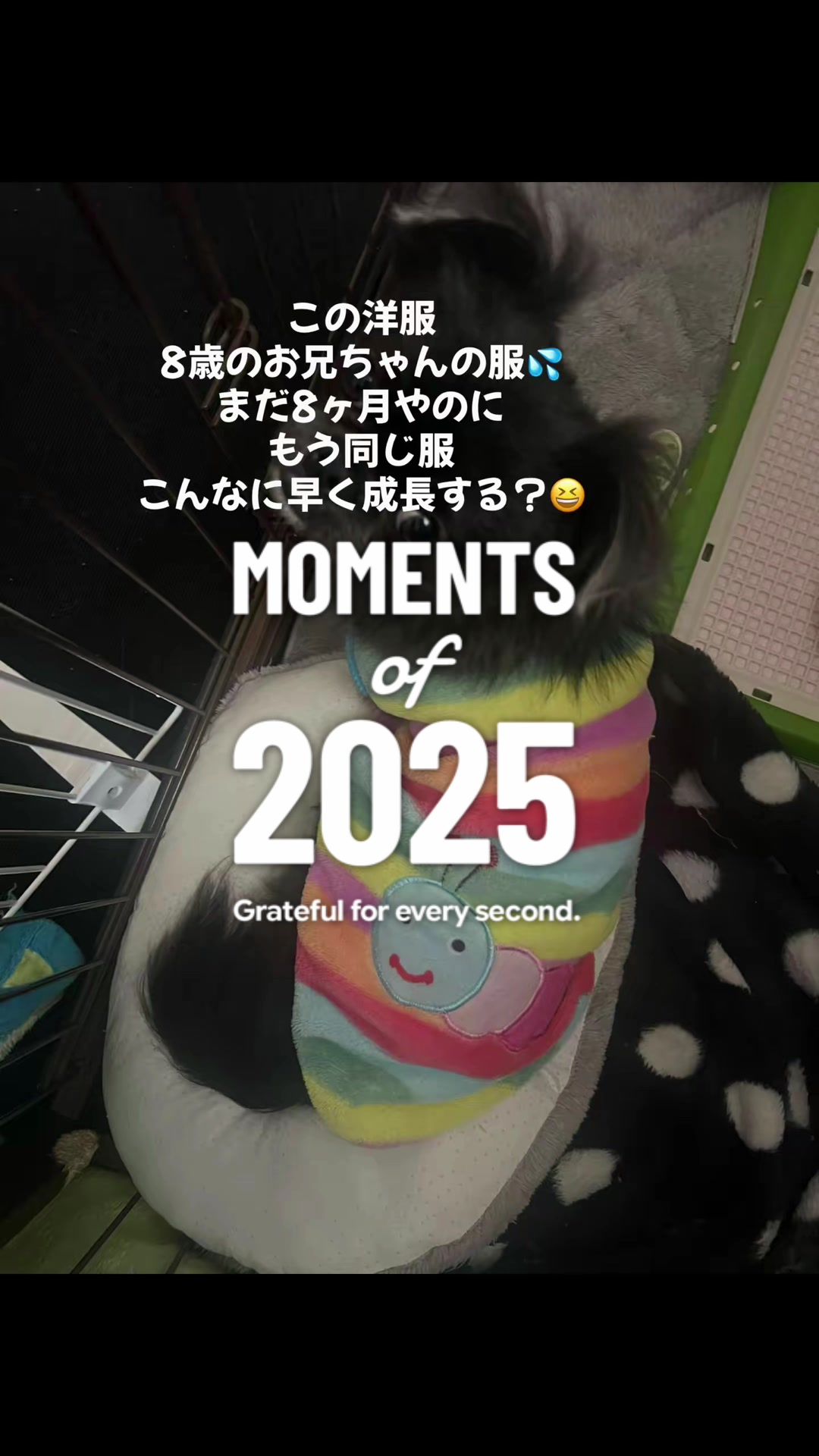@mak☺︎t☺︎💕(山元)