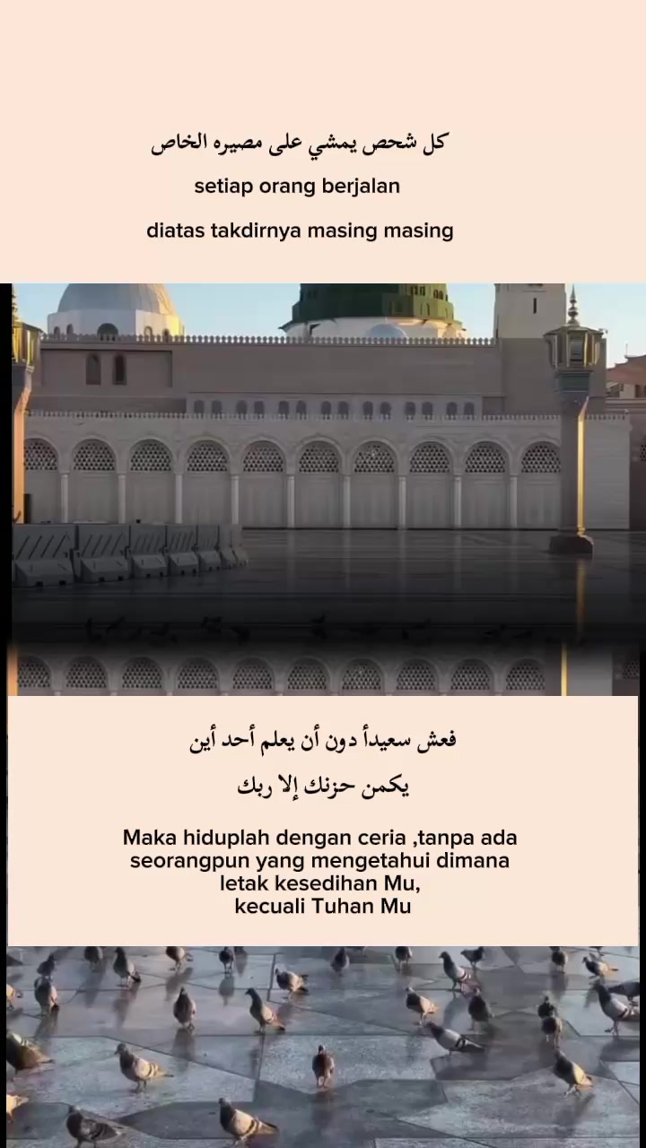 @ISMAIL مرجكي
