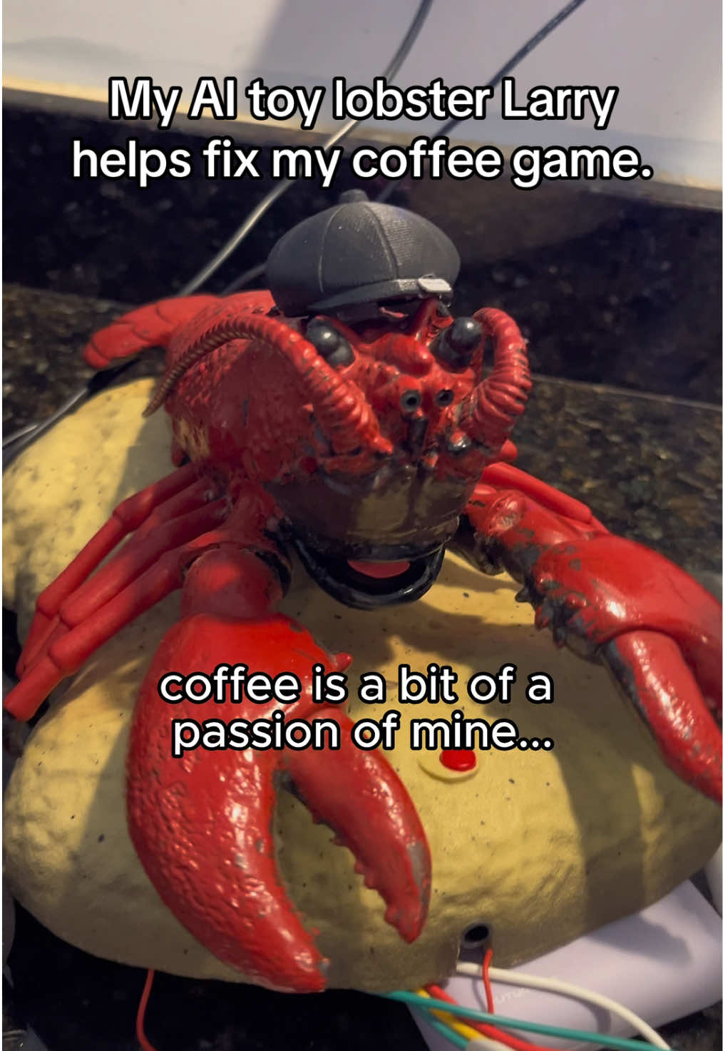 @gptars