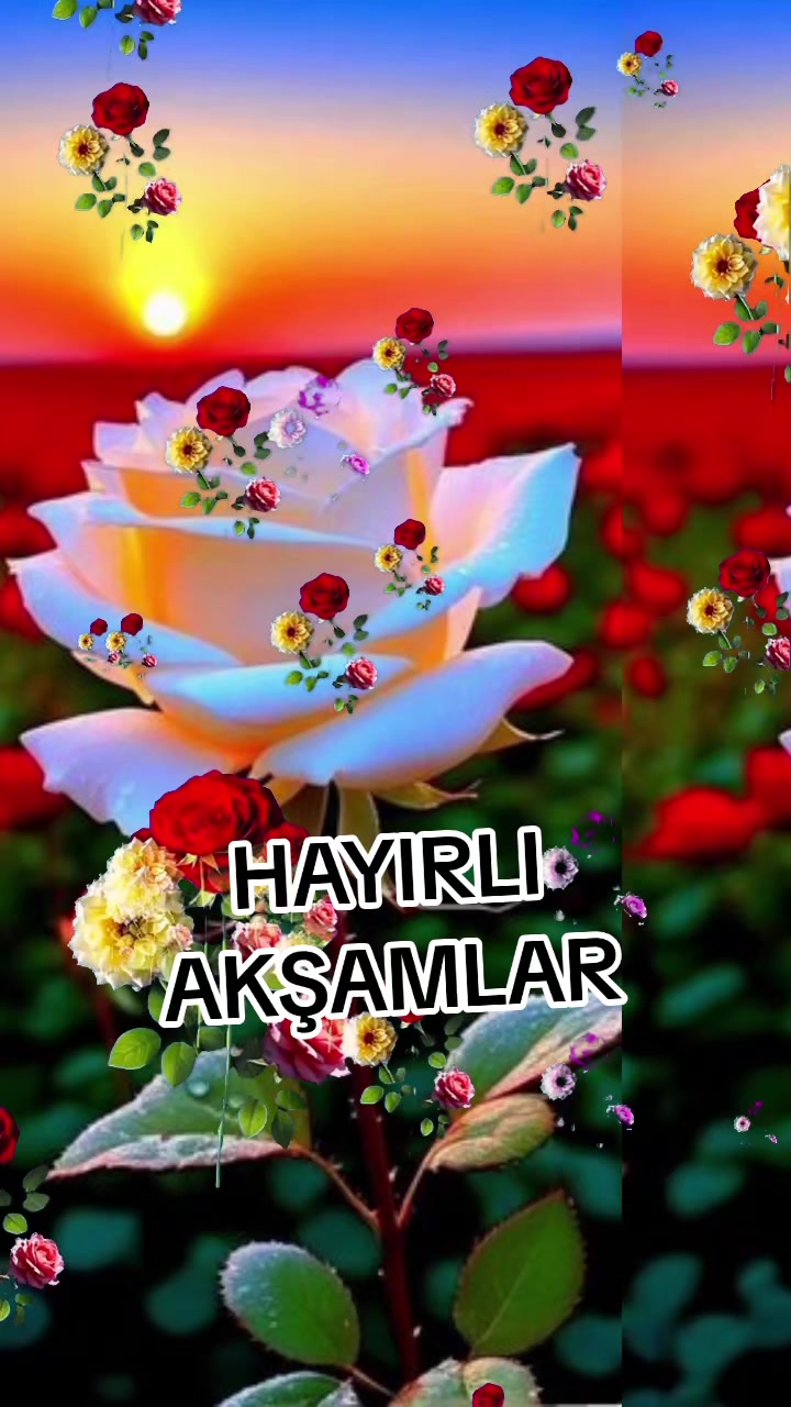 @gulvehsrn