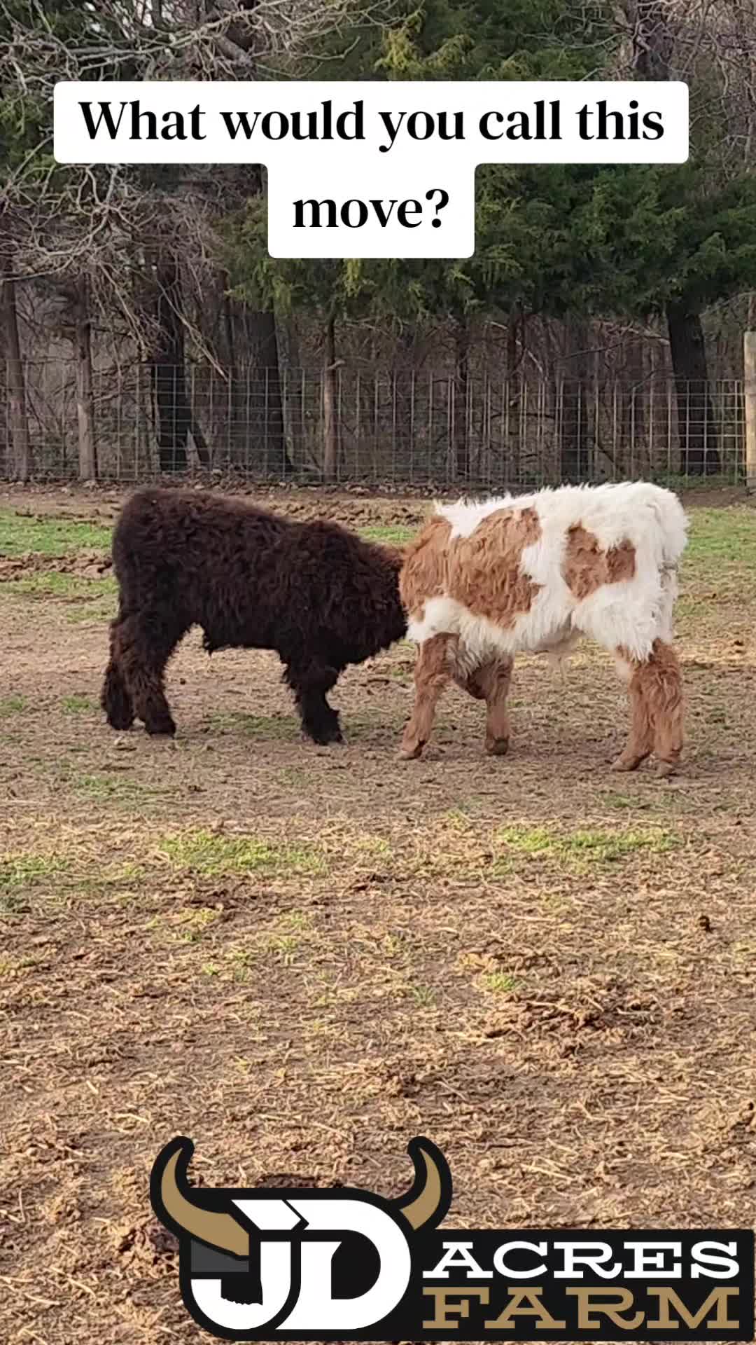 @JD Acres Farm