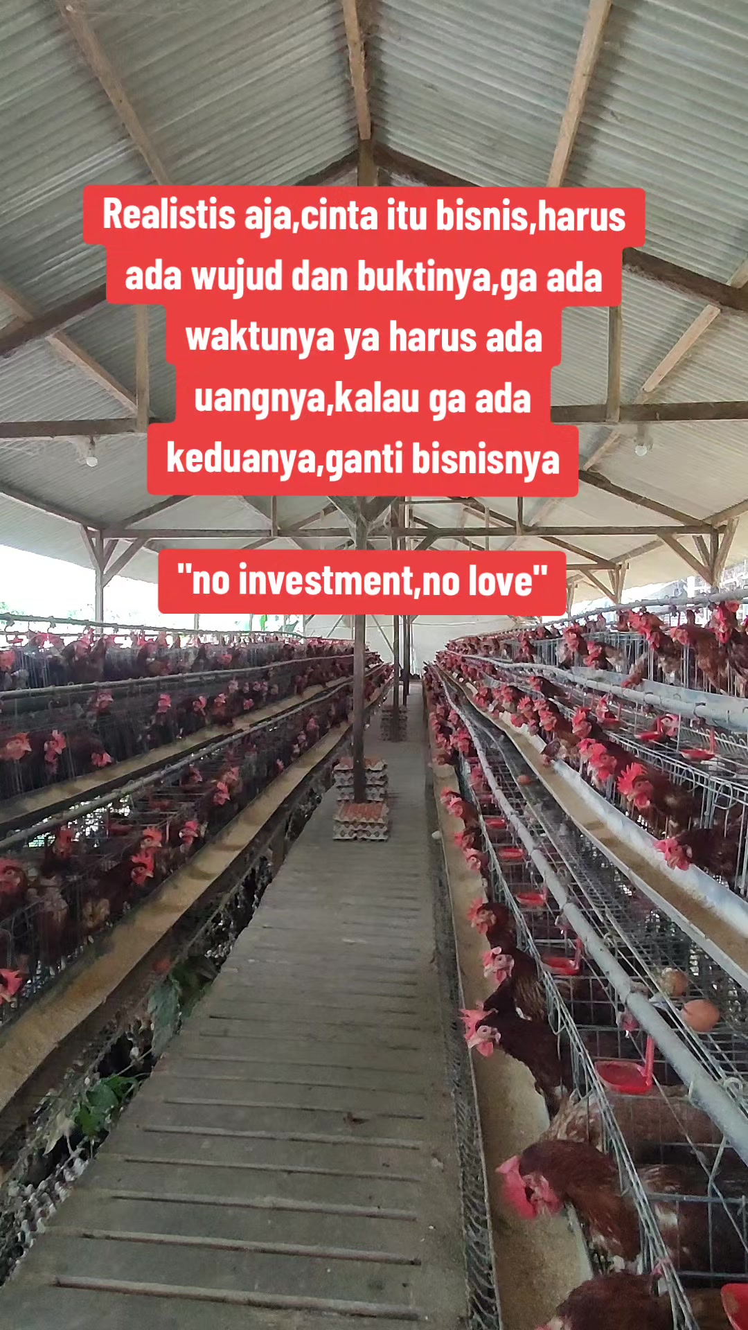 @Zulfa Zafira
