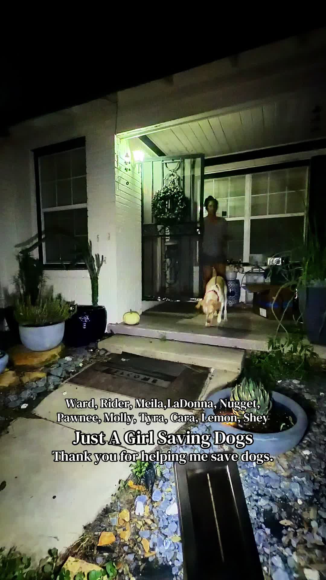 @Just A Girl Saving Dogs