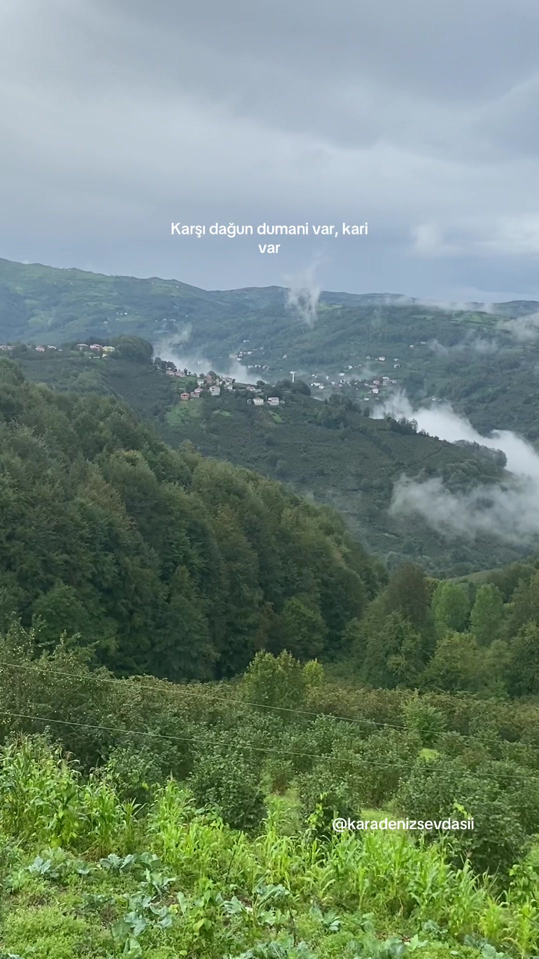 @Türkü1