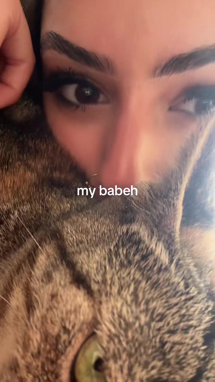 @n 🐈❣️🍨