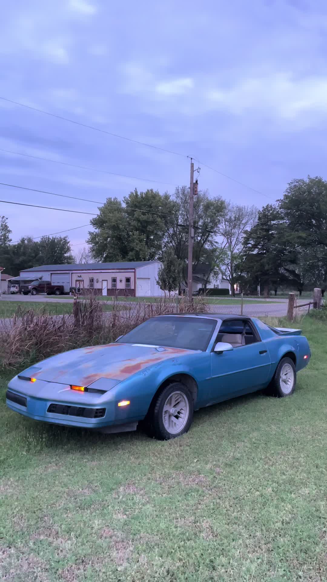 @August.Dodson