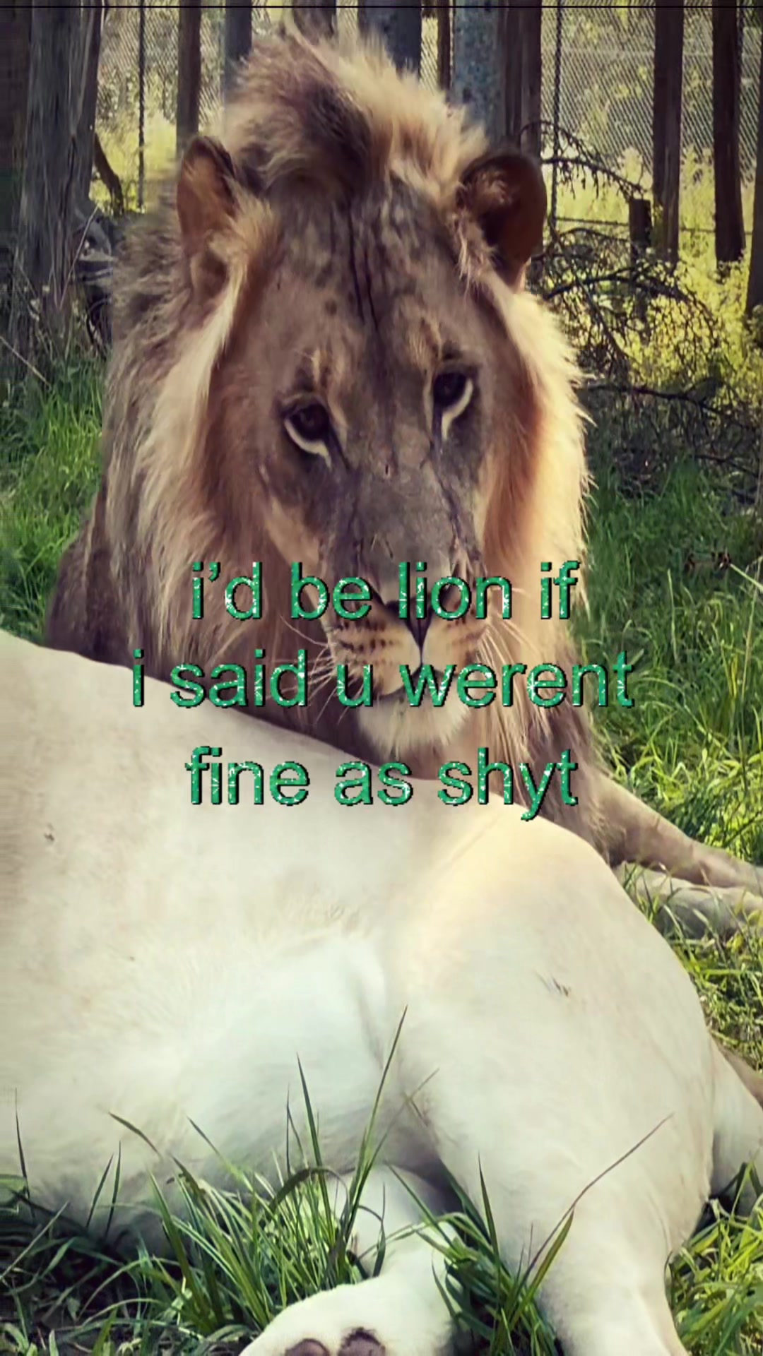 @livinlikedis