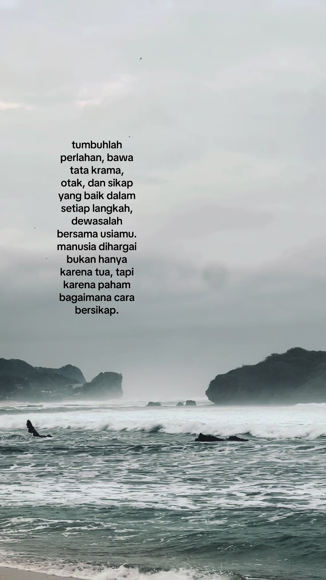@artupp.