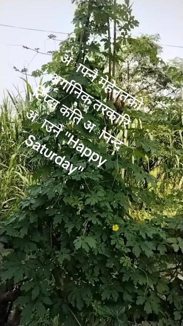 @Rita bhandari