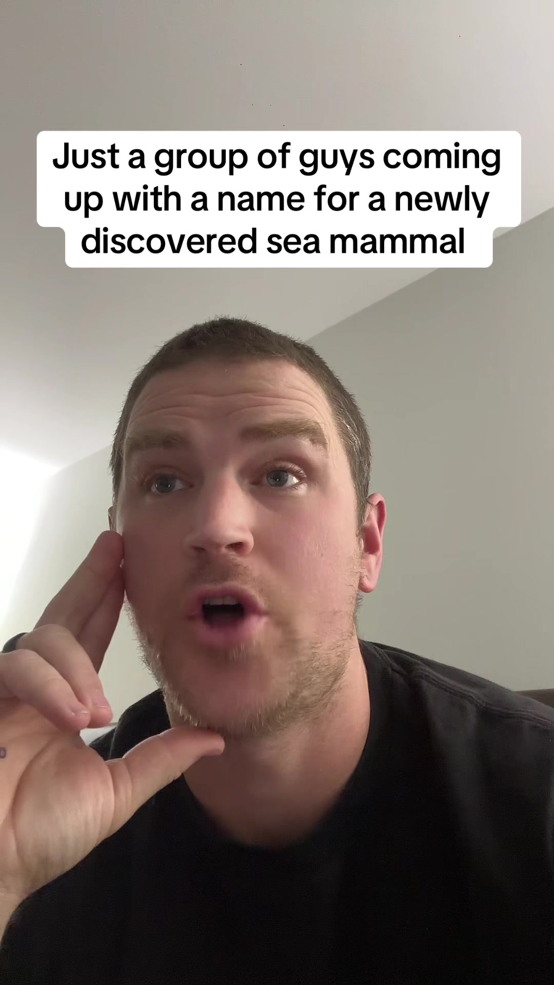 @markjunior311