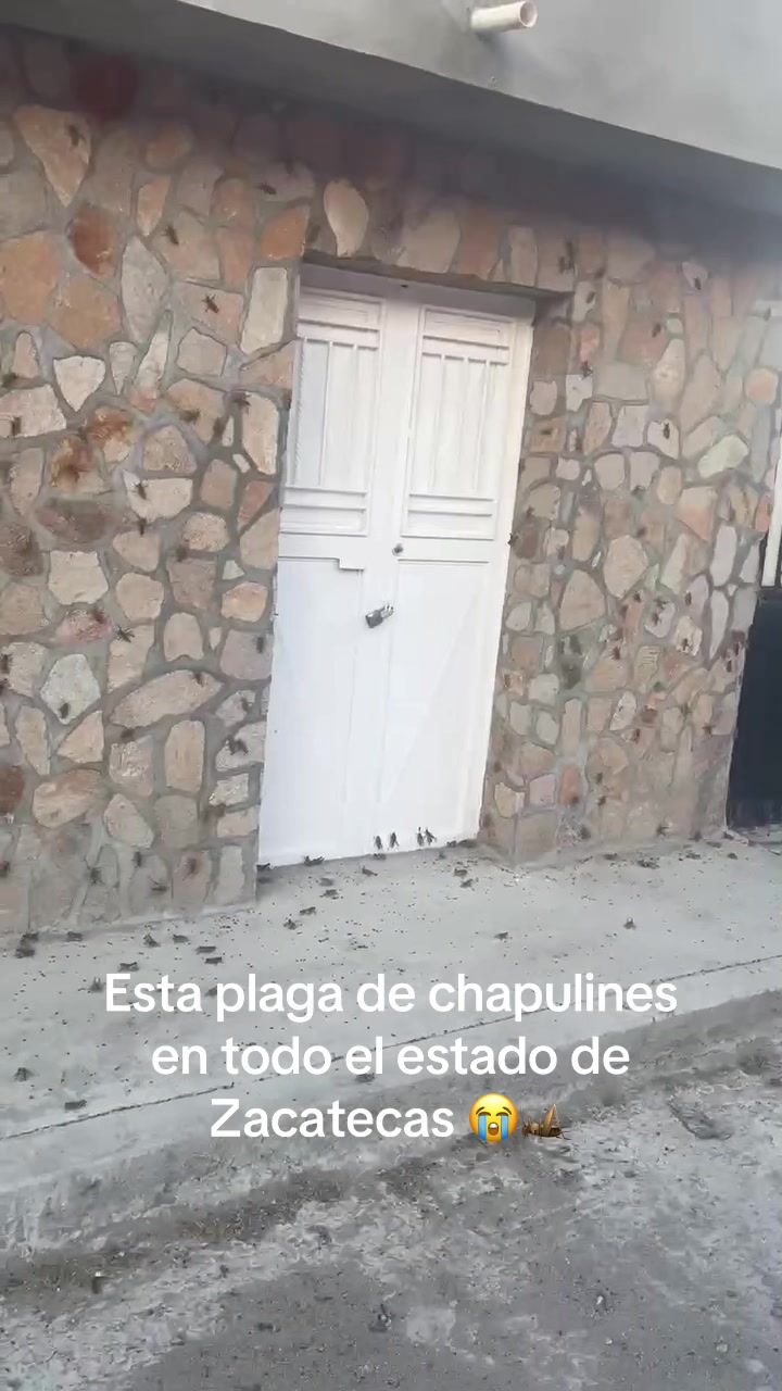 @mariaorozco7788
