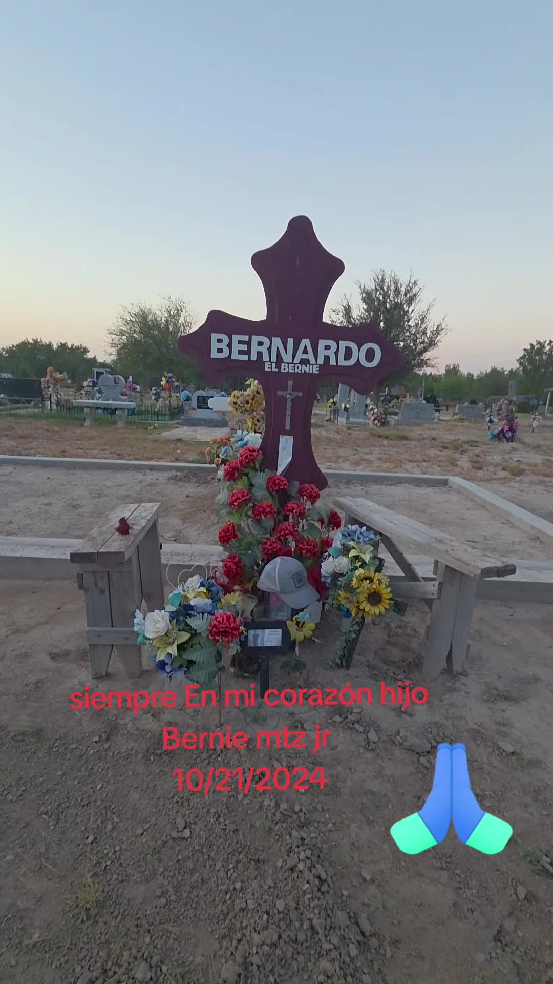 @Estela Pruneda372