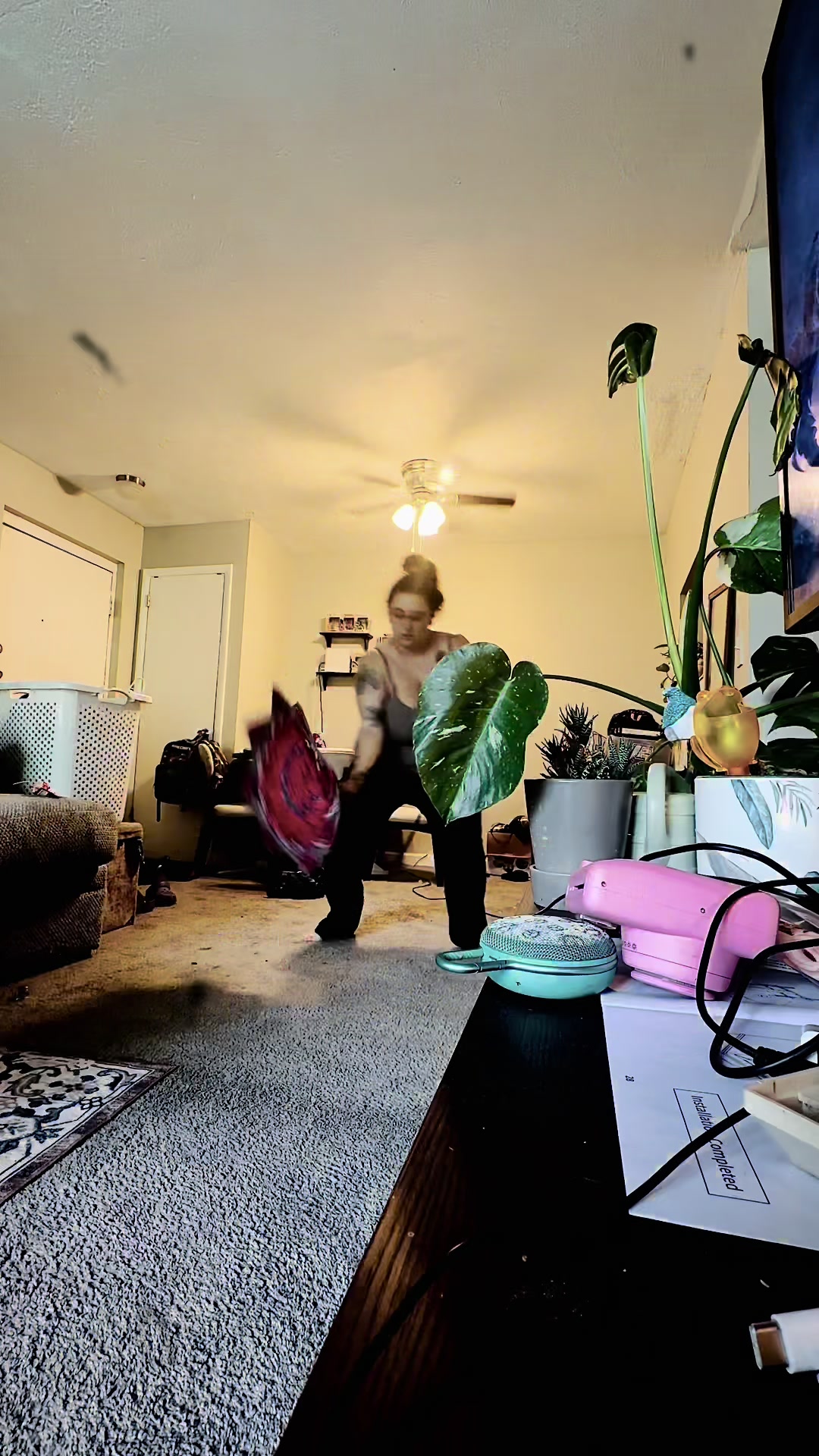 @Ali Novak