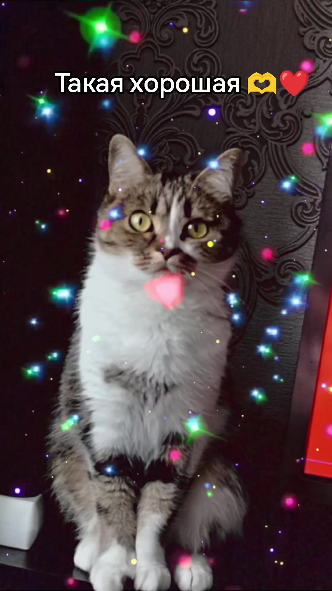@♥️МАЛЕНЬКАЯ ♥️