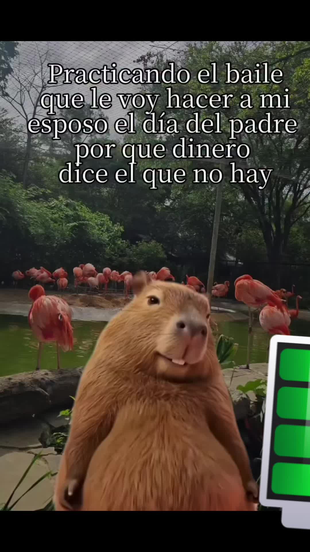 @Kayejero