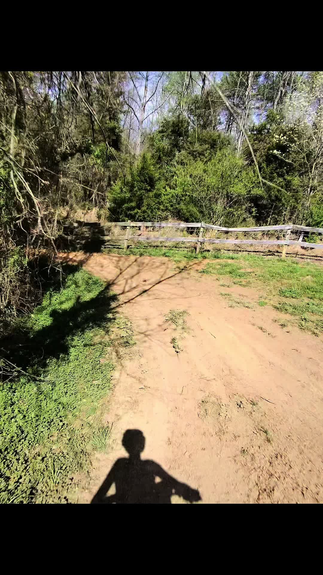 @altis. aiden