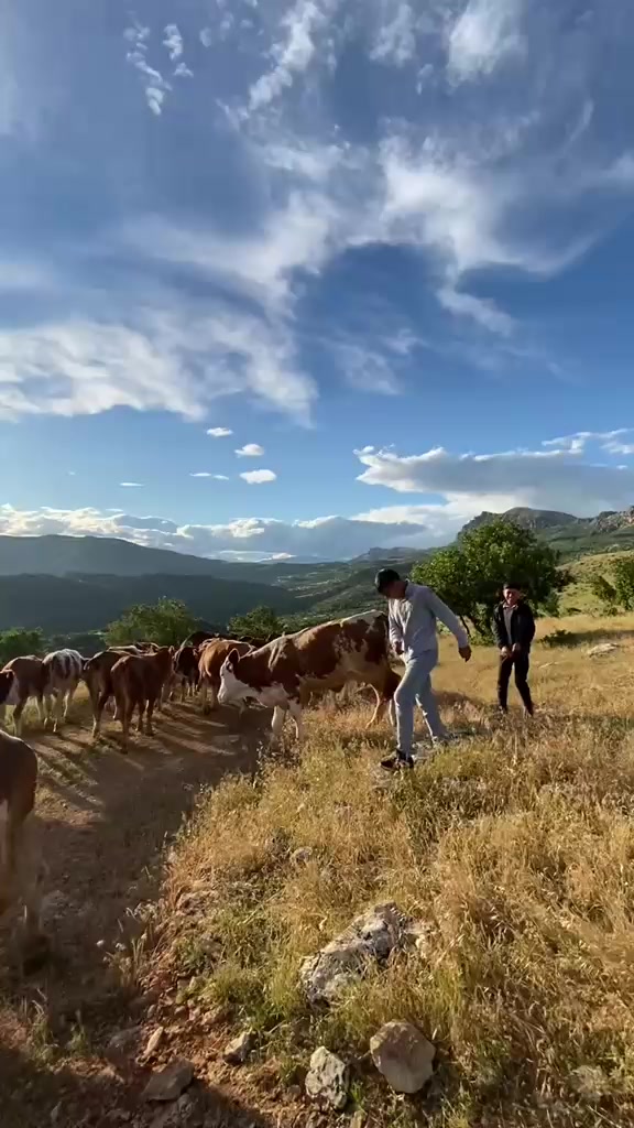 @21çermik