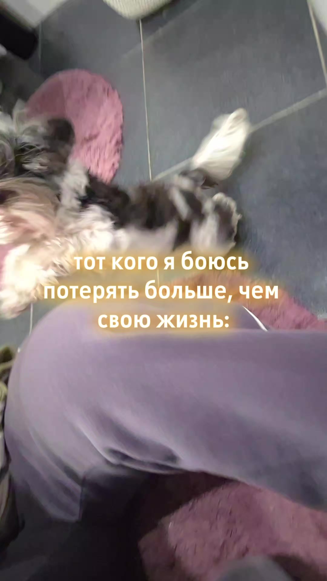 @𝓚𝓻𝓲𝓼💜🖤