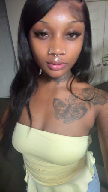 @brattscollectiont