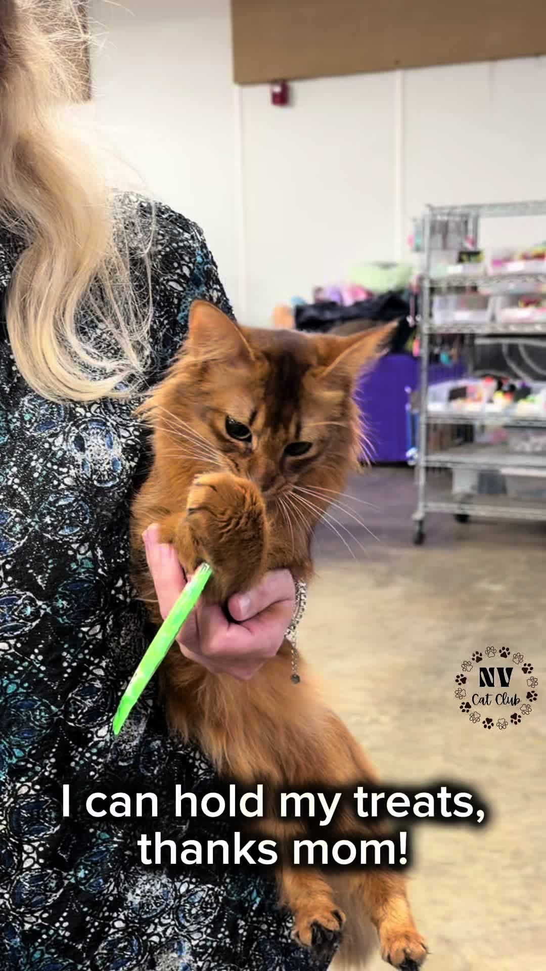 @NewVisionCatClub