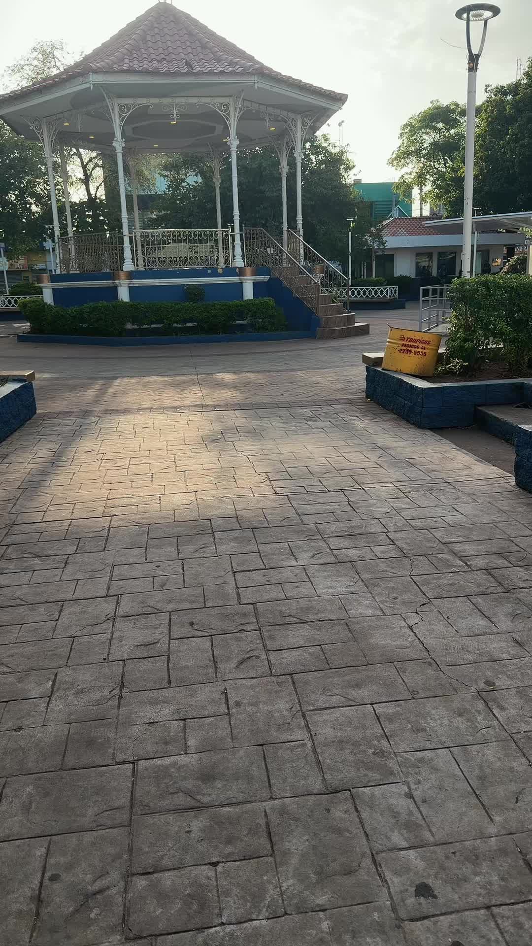 @vanestar69
