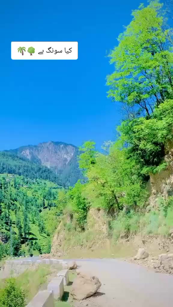 @Mr saqi khan 4040