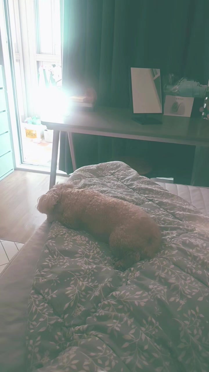 @욱사마TV