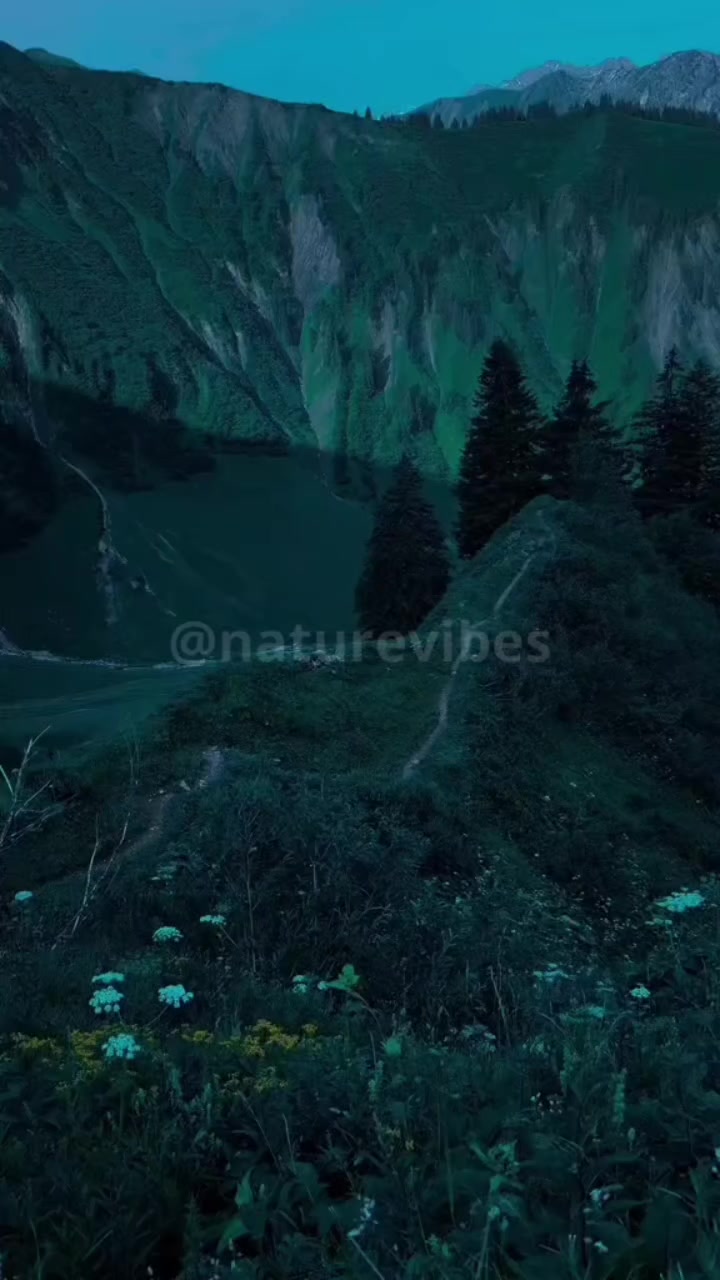 @Nature Vibes